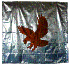 Eagle flag on crystal blue