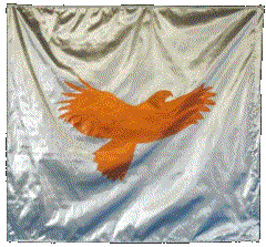 Soaring Eagle flag
